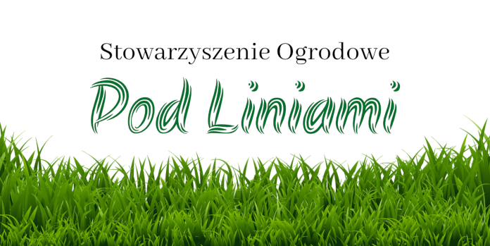 Pod Liniami