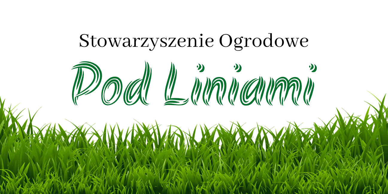 Pod Liniami